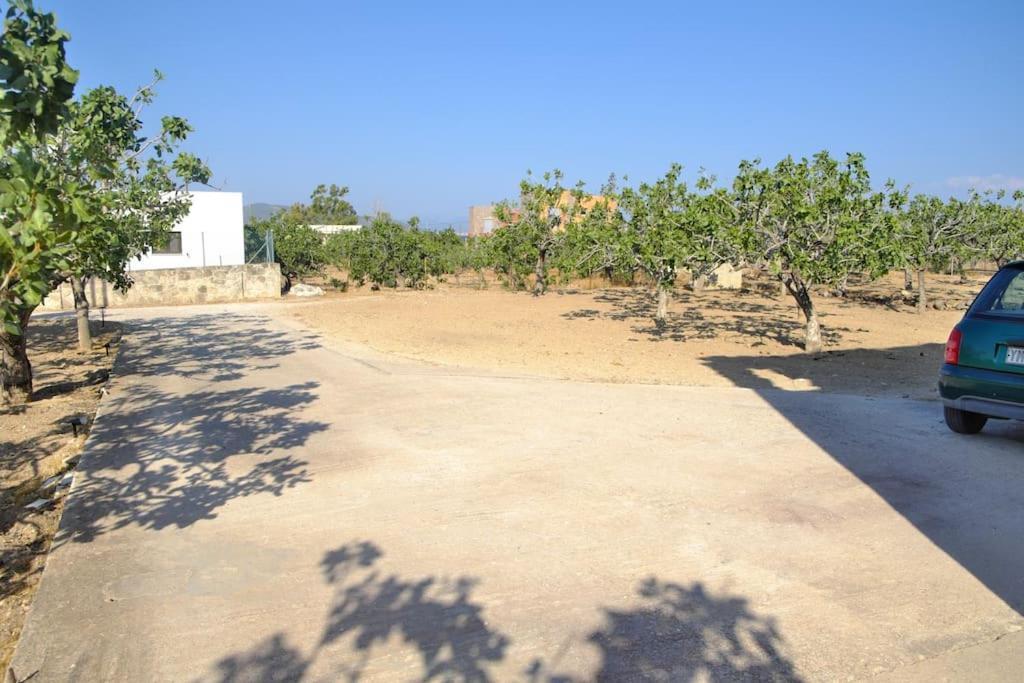 Villa Nick'S House Aegina Esterno foto