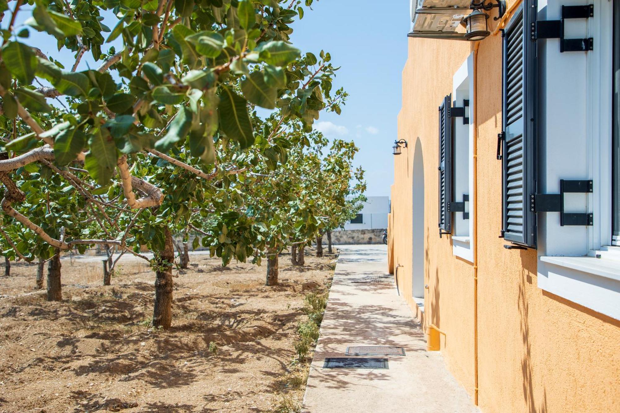 Villa Nick'S House Aegina Esterno foto